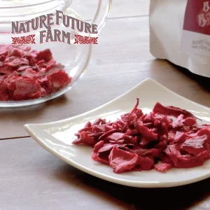 Organic Freeze Dried Hibiscus