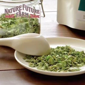 Organic Freeze Dried Holy Basil