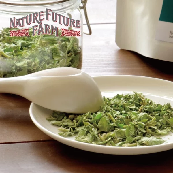 Organic Freeze Dried Holy Basil