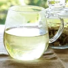 Organic Freeze Dried Lemongrass - Image 2
