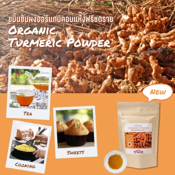 ORGANIC FREEZE DRIED TURMERIC POWDER - Image 3