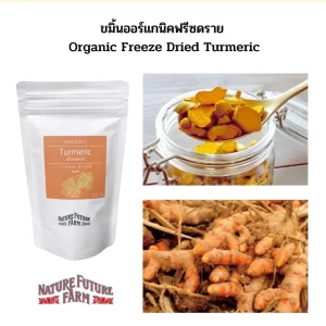 Organic Freeze Dried Turmeric