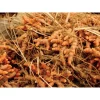 Organic Freeze Dried Turmeric - Image 2