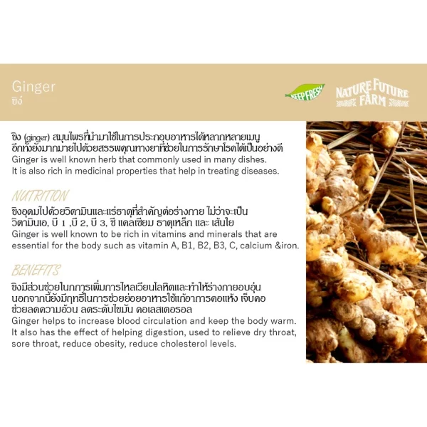 ORGANIC GINGER & LEMONGRASS TEA - Image 2