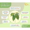 Organic Gymnema Tea - Image 2