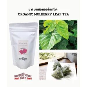 ORGANIC MULBERRY LEAF TEA