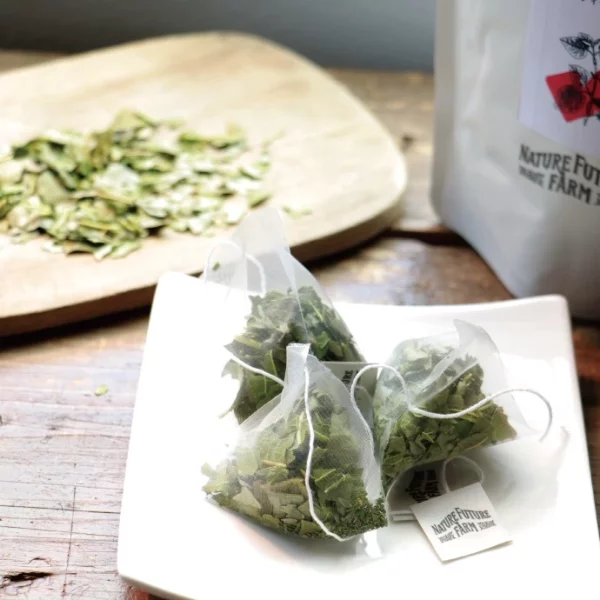 ORGANIC MULBERRY LEAF TEA - Image 3