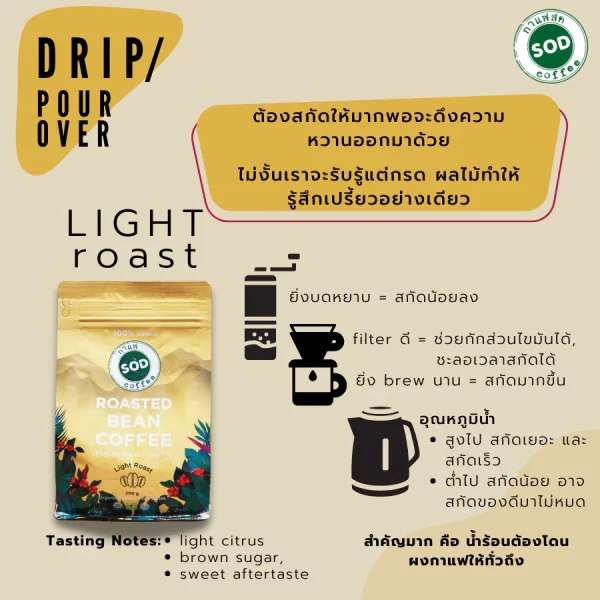 Organic Roasted Bean Coffee Light Roast - Image 2