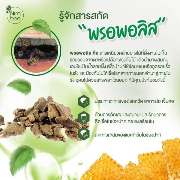 Propolis Tablet - Image 2