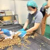 Roasted Almonds, Traditional Recipe - Image 3
