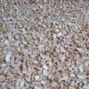 Roasted Cashew Nuts with Salt