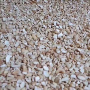 Roasted Cashew Nuts with Salt