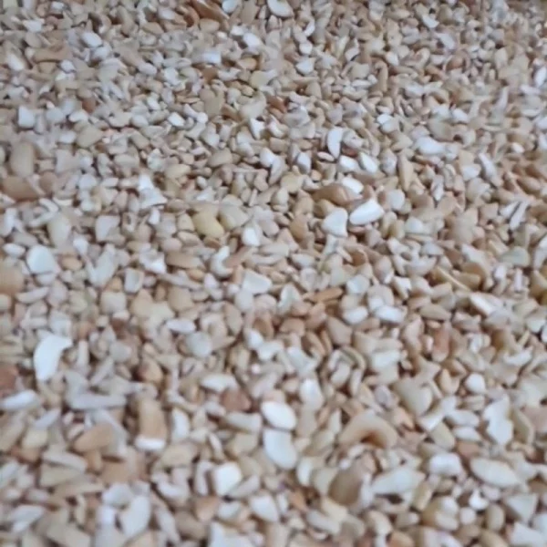 Roasted Cashew Nuts with Salt