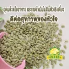 Roasted Pumpkin Kernels 250g - Image 3