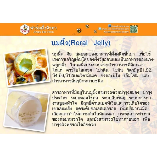 Royal Jelly - Image 3