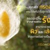 Silongsé Silk Protein Conditioner - Image 3