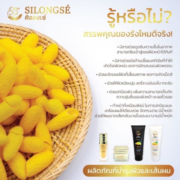 Silongsé Silk Protein Shampoo - Image 4