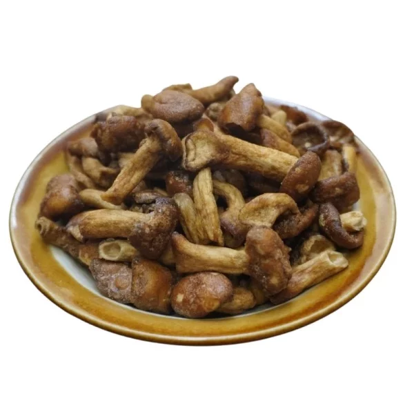 Wasabi Nameko Mushroom - Image 3