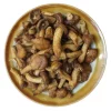 Wasabi Nameko Mushroom - Image 4