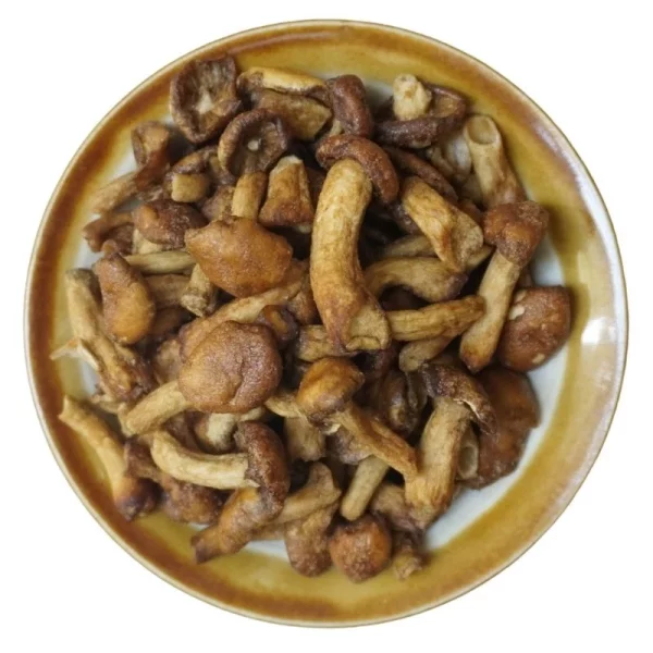 Wasabi Nameko Mushroom - Image 4