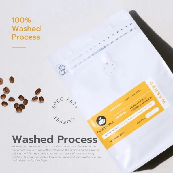 Washed Process Doi Mek Cloudy Hill Specialty Coffee - Image 3