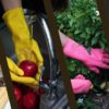 Household Latex Gloves137 - Image 3
