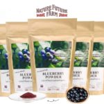 Freeze Dried Blueberry Powder No Sugar ( 5 PACKs SET)