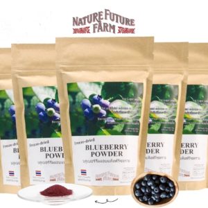 Freeze Dried Blueberry Powder No Sugar ( 5 PACKs SET)
