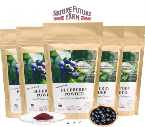 Freeze Dried Blueberry Powder No Sugar ( 5 PACKs SET)