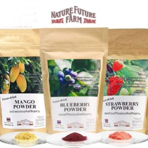 Freeze Dried Fruits Powder 3 Packs