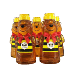 Longan Honey Bear Bottle 500g