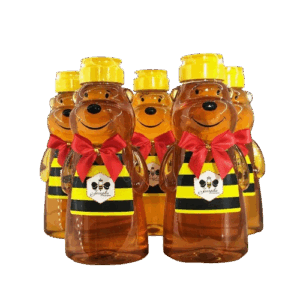 Longan Honey Bear Bottle 500g