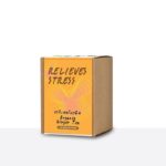 LUMLUM Organic Ginger Tea