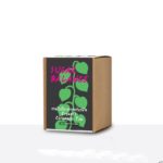 LUMLUM Organic Gymnema Inodorum Tea