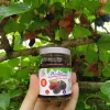 Mulberry juice, 100% pure, organic, shot type - Image 2